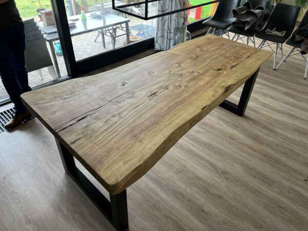 Mammoet boomstamtafel - Afbeelding 2